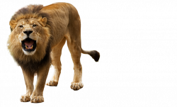 Animals That Run PNG Transparent Animals That Run.PNG Images. | PlusPNG