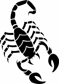 Scorpion PNG Image - PurePNG | Free transparent CC0 PNG Image Library