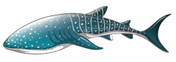 Whale Shark PNG Clipart - Best WEB Clipart