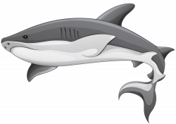Grey Shark PNG Clipart - Best WEB Clipart