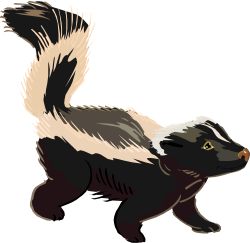 Skunk Free Clipart