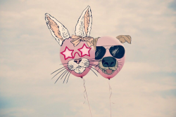 FreeToEdit balloons sky clipart animals sunglasses...