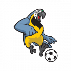 Printed vinyl Parrot Football Soccer Player | Stickers Factory