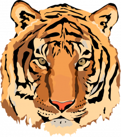 Tiger Clipart For Kids at GetDrawings.com | Free for personal use ...