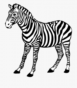 Animal - Zebra Clipart Black And White #14519 - Free ...
