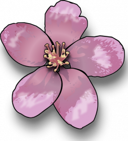 Apple Blossom Clip Art at Clker.com - vector clip art online ...
