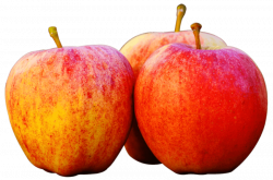 Three Apples png - Free PNG Images | TOPpng