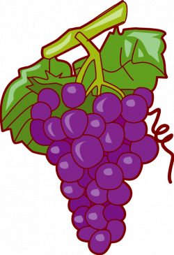Purple Grapes. | FRUIT AND VEGETABLES CLIP ART TWO | Pinterest ...