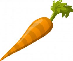 A Brief History of the Carrot! – Professional Moron
