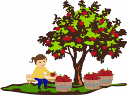 Apple Picking Clipart | Free download best Apple Picking Clipart on ...