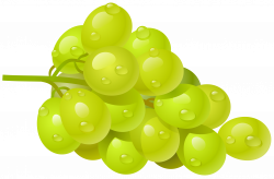 White Grape PNG Clipart Picture | FRUIT AND VEGETABLES CLIP ART TWO ...