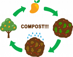 Compost Soil Clip art - Grow mango trees 4811*3791 transprent Png ...