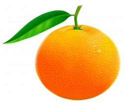 orange clipart – Free Cliparts