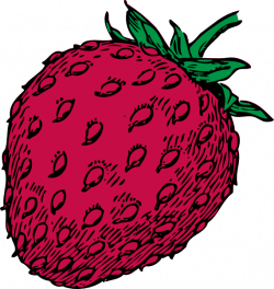 Strawberry 15 Clip Art at Clker.com - vector clip art online ...
