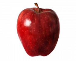 PNG RED APPLE by Moonglowlilly.deviantart.com on @deviantART ...