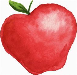 Photos: Watercolor Apple, - Drawings Art Gallery