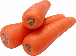 Carrot Seventeen | Isolated Stock Photo by noBACKS.com