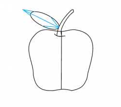 How to Draw an Apple in a Few Easy Steps | Easy Drawing Guides