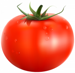 Tomato PNG Clipart Picture | Fruits and vegetables | Pinterest ...