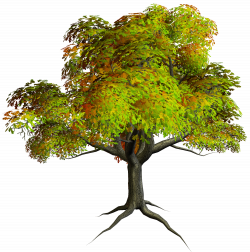 Tree Images Free | Free Download Clip Art | Free Clip Art | on ...
