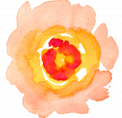 Watercolour Flowers Watercolor painting Clip art - watercolor rose ...