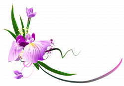 Beautiful Purple Floral Decor PNG Clipart | Gallery Yopriceville ...