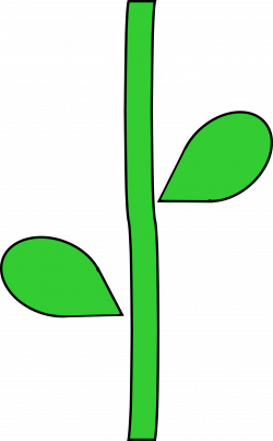 Plant stem Flower Clip art - boho arrow 1488*2400 transprent Png ...