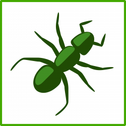 Eco green ant icon Icons PNG - Free PNG and Icons Downloads
