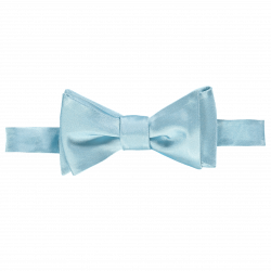 Baby Blue Bow Tie PNG Transparent Baby Blue Bow Tie.PNG Images ...