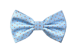 Baby Bow Tie PNG Transparent Baby Bow Tie.PNG Images. | PlusPNG