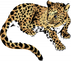 28+ Collection of Baby Jaguar Clipart | High quality, free cliparts ...