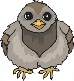 Pigeon Baby Clip Art at Clker.com - vector clip art online, royalty ...