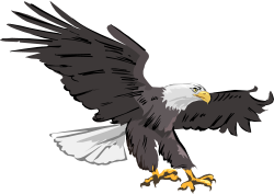 Clipart eagle | ClipartMonk - Free Clip Art Images | cnc | Pinterest ...