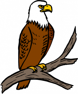 28+ Collection of Eagles Clipart Free | High quality, free cliparts ...