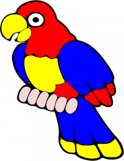 parrot, bird, tropical, exotic, red, yellow, blue | Clipart idea ...
