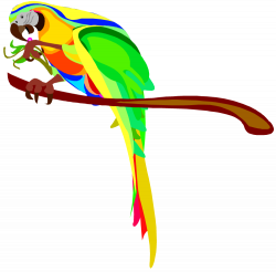 Macaw clipart parrot - Pencil and in color macaw clipart parrot