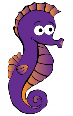 seahorse - SwimWest.com