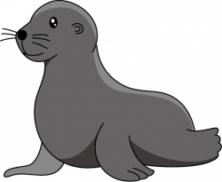 28+ Collection of Cute Sea Lion Clipart | High quality, free ...