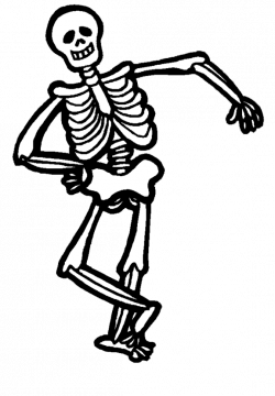 28+ Collection of Skeleton Clipart Png | High quality, free cliparts ...