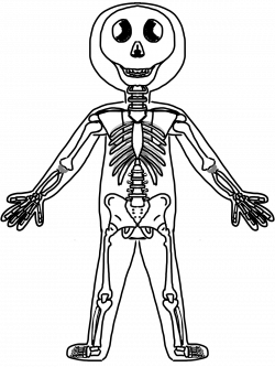 28+ Collection of Skeleton Clipart For Kids | High quality, free ...