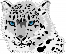 28+ Collection of Snow Leopard Clipart | High quality, free cliparts ...