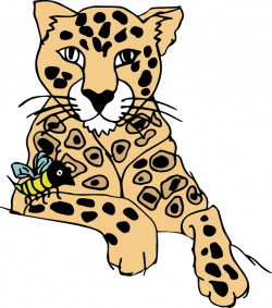 Clouded Leopard Clipart at GetDrawings.com | Free for personal use ...