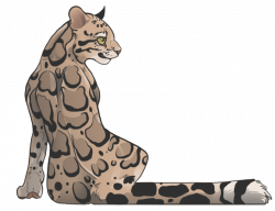 Clouded Leopard Drawing at GetDrawings.com | Free for personal use ...