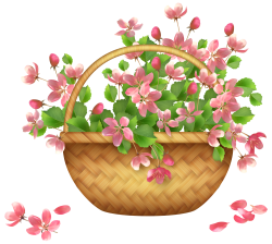 Spring Flower Basket PNG Clipart | Gallery Yopriceville - High ...
