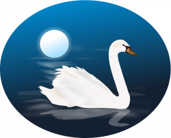 Clipart Blue Swan Photo - 1007 - TransparentPNG