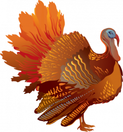 Colorful Clip Art For The Fall Season: A Colorful Turkey | clipart ...