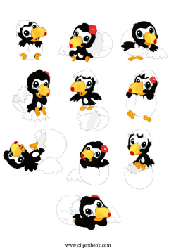 LE - Hatchling baby Toucansfree vector clipart designs for ...