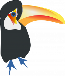 toucan toco Icons PNG - Free PNG and Icons Downloads