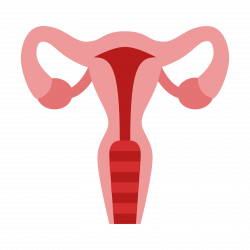 The Uterus, Abnormalities and What's Normal - The Fertile Chick