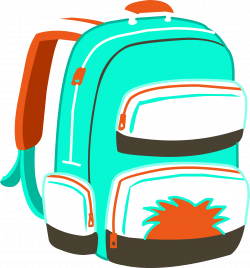 Limited Edition Backpack | Club Penguin Wiki | FANDOM powered by Wikia